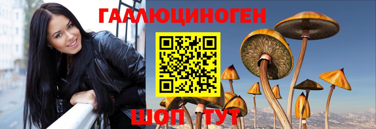 Галлюциногенные грибы мухоморы  Вход с VPN  Малгобек 