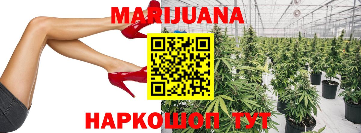 Конопля сатива Малгобек